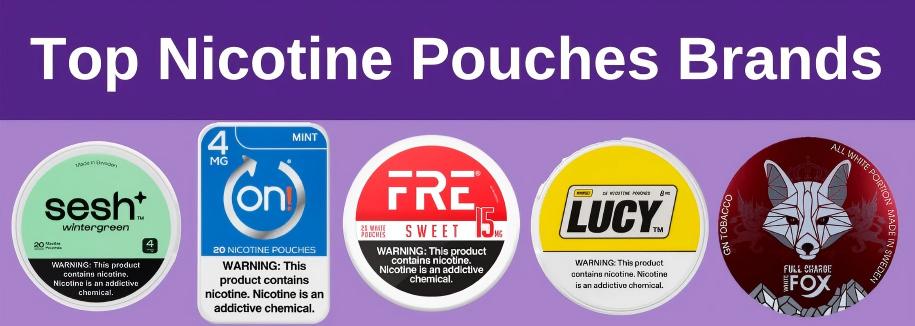 2026 Top 10 Best Seller Nicotine Pouches Brand
